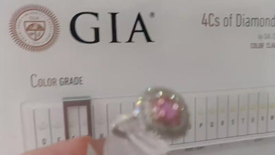 Video af eksklusiv pink safirring i 14kt hvidguld filmet i Manich Jewelrys showroom. Ringen roteres og viser den cushion cut pink safir fra Madagaskar omkranset af 62 brillantslebne diamanter. Detaljerede nærbilleder fremhæver ringens IGI-certificerede diamanter af VVS/VS kvalitet og de fine rosa gulddetaljer. Videoen demonstrerer det håndlavede design og ringens ægte farver under professionel belysning.